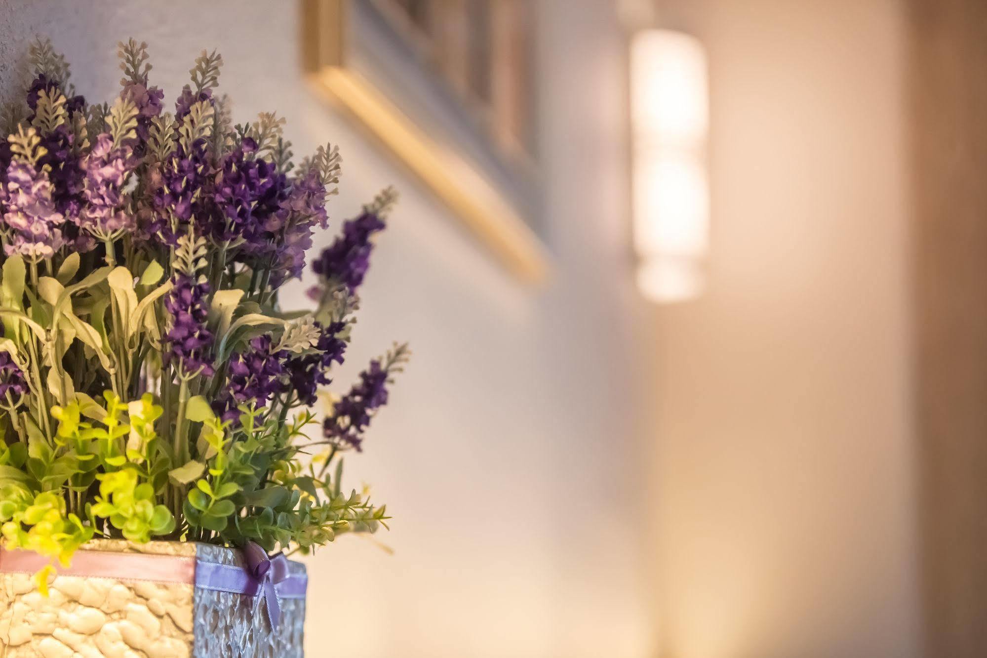Lavender Inn Nusa Bestari ジョホールバル エクステリア 写真